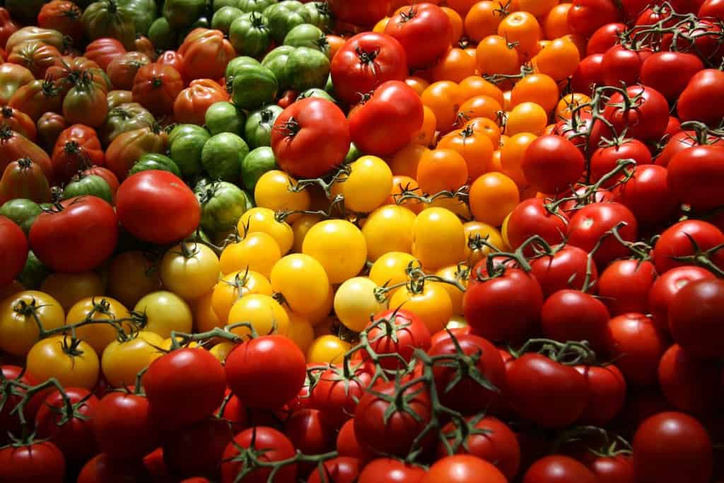 معرفی مواد مغذی گوجه فرنگی