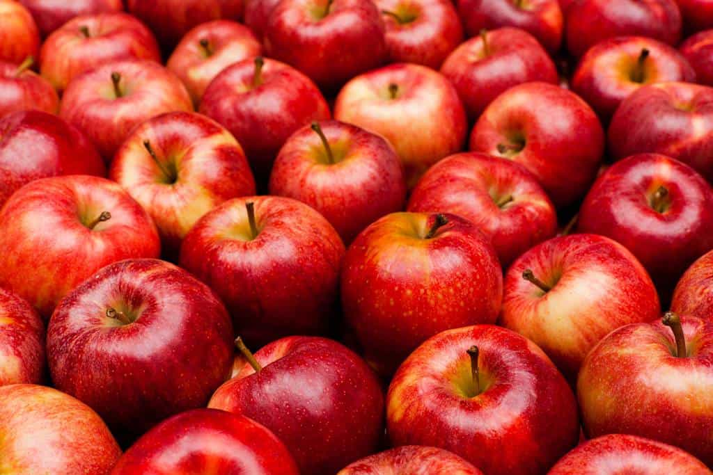 بهترین غذاها در برابر سرطان سینه، سیب در برابر سرطان