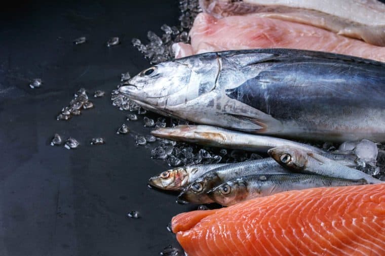 بهترین غذاها برای مقابله با سرطان سینه، ماهی قزل آلا